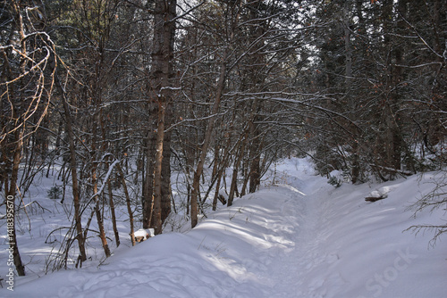 Obraz na płótnie Tibble Fork Loop hiking winter storm snow views of trail Lone Peak Wilderness Uinta Wasatch Cache National Forest, Rocky Mountains, Utah. United States. w salonie