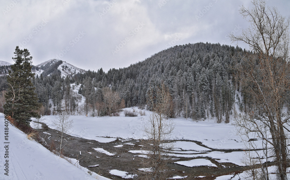 Tibble Fork Loop winter storm snow views from hiking trail Lone Peak Wilderness Uinta Wasatch Cache National Forest, Rocky Mountains, Utah. United States.