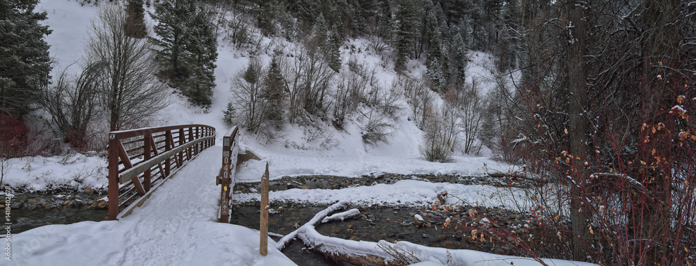 Tibble Fork Loop winter storm snow views from hiking trail Lone Peak Wilderness Uinta Wasatch Cache National Forest, Rocky Mountains, Utah. United States.
