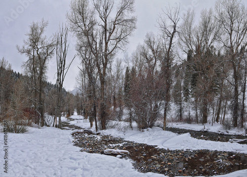 Tibble Fork Loop winter storm snow views from hiking trail Lone Peak Wilderness Uinta Wasatch Cache National Forest, Rocky Mountains, Utah. United States.