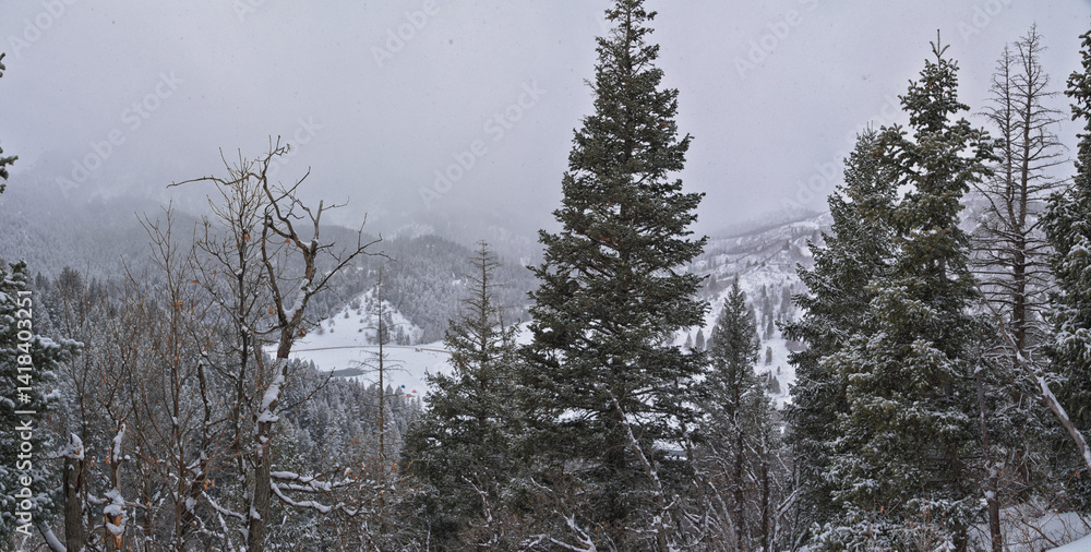 Tibble Fork Loop winter storm snow views from hiking trail Lone Peak Wilderness Uinta Wasatch Cache National Forest, Rocky Mountains, Utah. United States.