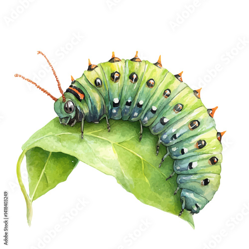 illustration of Caterpillar On A Leaf, watercolor vector, isolated on a white background.