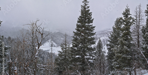 Obraz na płótnie Tibble Fork Loop winter storm snow views from hiking trail Lone Peak Wilderness Uinta Wasatch Cache National Forest, Rocky Mountains, Utah. United States. w salonie