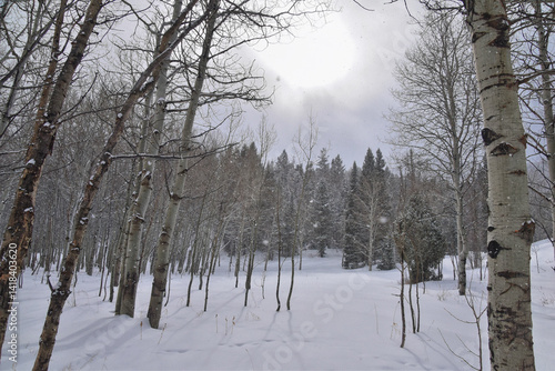 Obraz na płótnie Tibble Fork Loop winter storm snow views from hiking trail Lone Peak Wilderness Uinta Wasatch Cache National Forest, Rocky Mountains, Utah. United States. w salonie