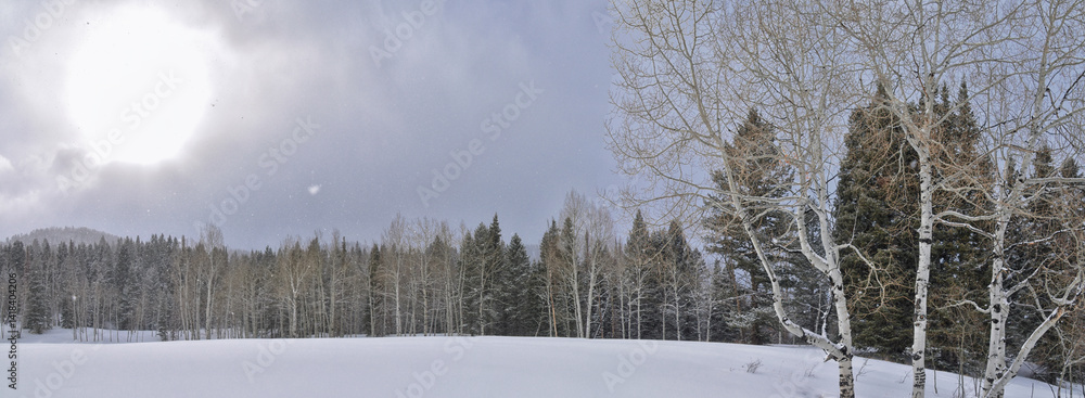Tibble Fork Loop winter storm snow views from hiking trail Lone Peak Wilderness Uinta Wasatch Cache National Forest, Rocky Mountains, Utah. United States.