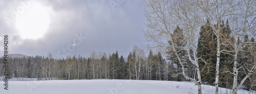 Tibble Fork Loop winter storm snow views from hiking trail Lone Peak Wilderness Uinta Wasatch Cache National Forest, Rocky Mountains, Utah. United States.