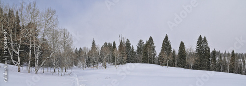 Obraz na płótnie Tibble Fork Loop winter storm snow views from hiking trail Lone Peak Wilderness Uinta Wasatch Cache National Forest, Rocky Mountains, Utah. United States. w salonie