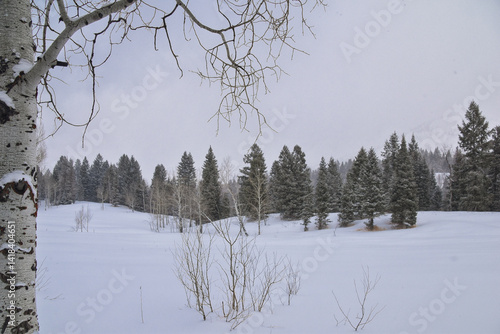 Obraz na płótnie Tibble Fork Loop winter storm snow views from hiking trail Lone Peak Wilderness Uinta Wasatch Cache National Forest, Rocky Mountains, Utah. United States. w salonie