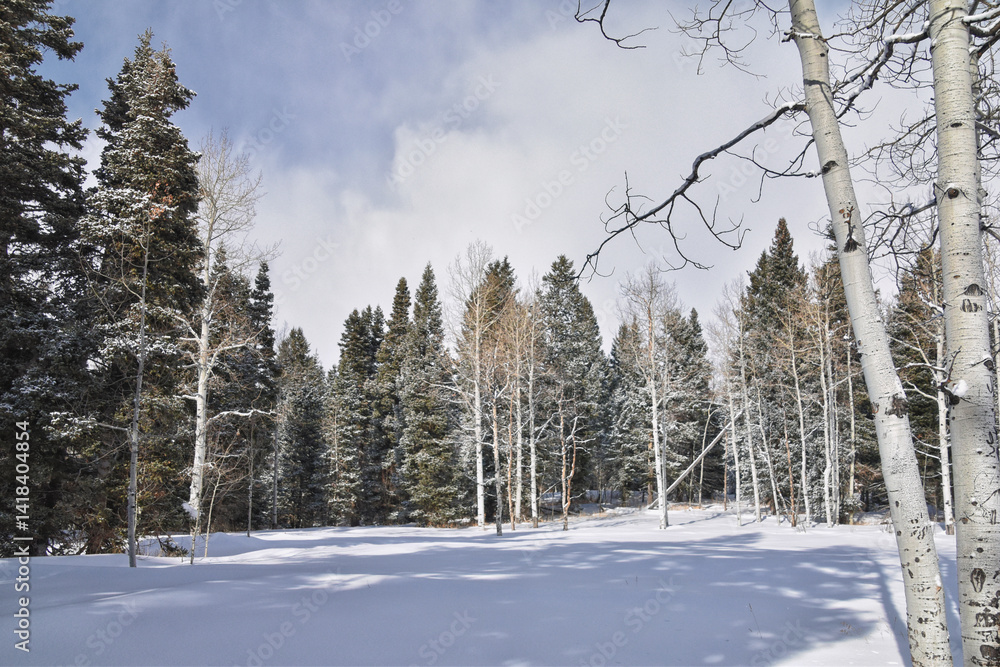 Tibble Fork Loop winter storm snow views from hiking trail Lone Peak Wilderness Uinta Wasatch Cache National Forest, Rocky Mountains, Utah. United States.