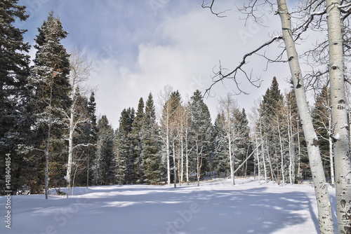 Obraz na płótnie Tibble Fork Loop winter storm snow views from hiking trail Lone Peak Wilderness Uinta Wasatch Cache National Forest, Rocky Mountains, Utah. United States. w salonie