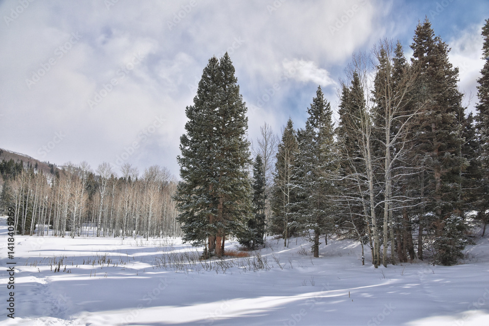 Tibble Fork Loop winter storm snow views from hiking trail Lone Peak Wilderness Uinta Wasatch Cache National Forest, Rocky Mountains, Utah. United States.