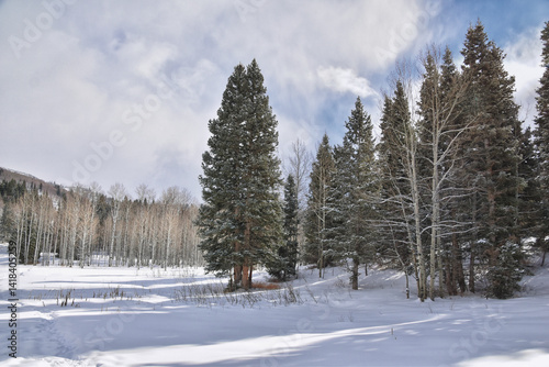 Obraz na płótnie Tibble Fork Loop winter storm snow views from hiking trail Lone Peak Wilderness Uinta Wasatch Cache National Forest, Rocky Mountains, Utah. United States. w salonie