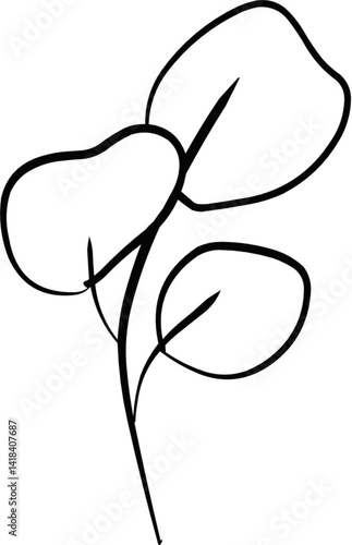 Hand Drawn Line Art of Leaf Illustration 