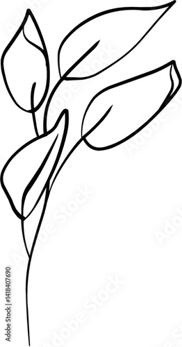 Hand Drawn Line Art of Leaf Illustration 