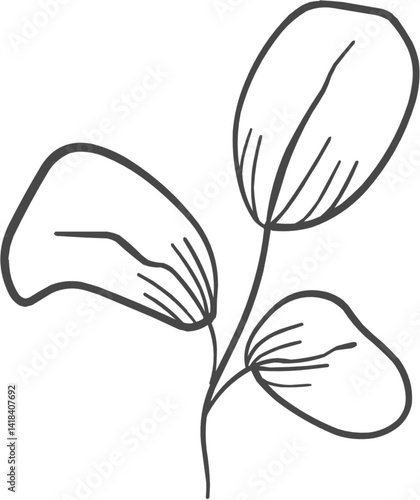 Hand Drawn Line Art of Leaf Illustration 