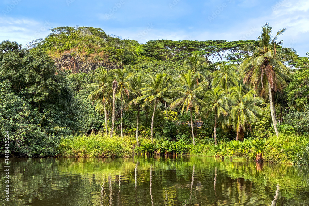 Lush Hawaiian landscape of green jungle with palm trees and pond in kauai, Hawaii Lush Hawaiian landscape of green jungle with palm trees and pond in kauai, Hawaii