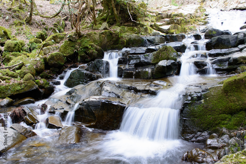 Fototapeta premium 兵庫県宍粟市・石 (いし) 段瀑の渓流滝