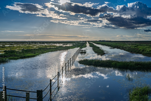 Sunlight breaks through clouds over wetlands in Doñana National Park