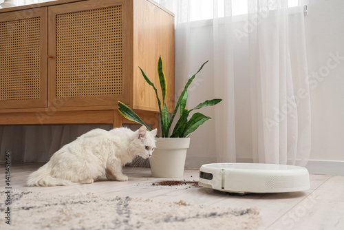 Cute white cat with plant a...