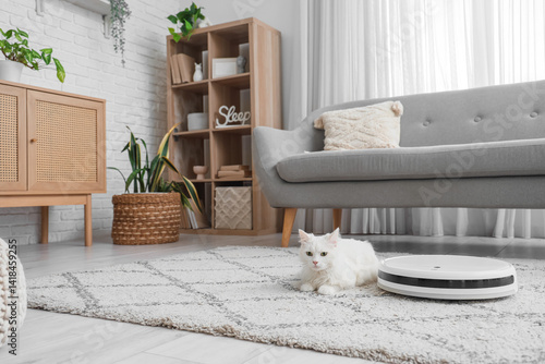 Cute white cat lying near r...