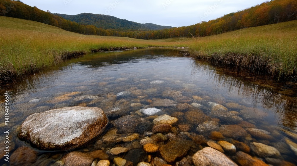 Naklejka premium Tranquil creek through autumnal meadow