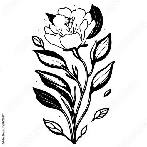 Monochrome Elegant Floral Branch Ink Drawing