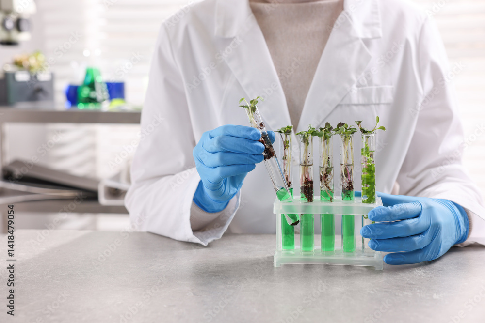 Biochemistry. Scientist working with plants and liquids at grey table in laboratory, closeup
