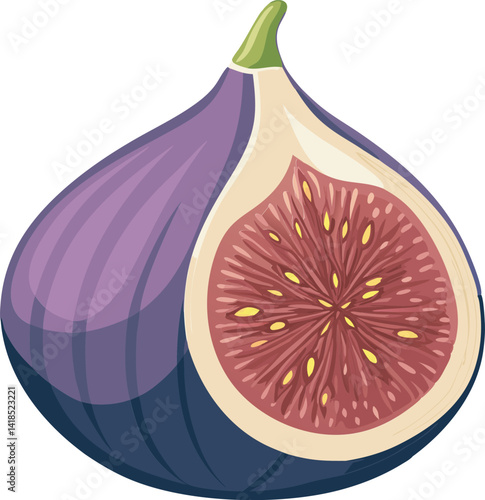 A vibrant vector art illustration showcasing a delicious, ripe fig fruit, detailed with rich colors and textures, perfect for digital designs.