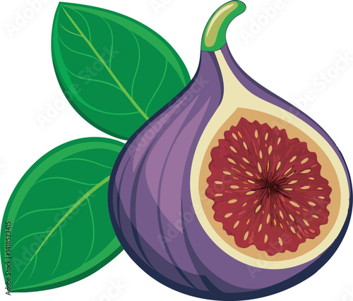 A vibrant vector art illustration showcasing a delicious, ripe fig fruit, detailed with rich colors and textures, perfect for digital designs.