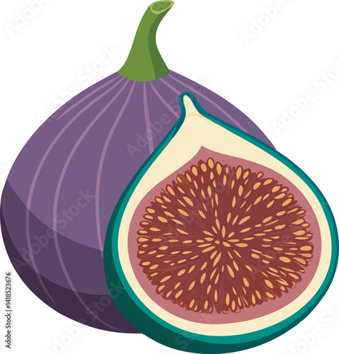 A vibrant vector art illustration showcasing a delicious, ripe fig fruit, detailed with rich colors and textures, perfect for digital designs.