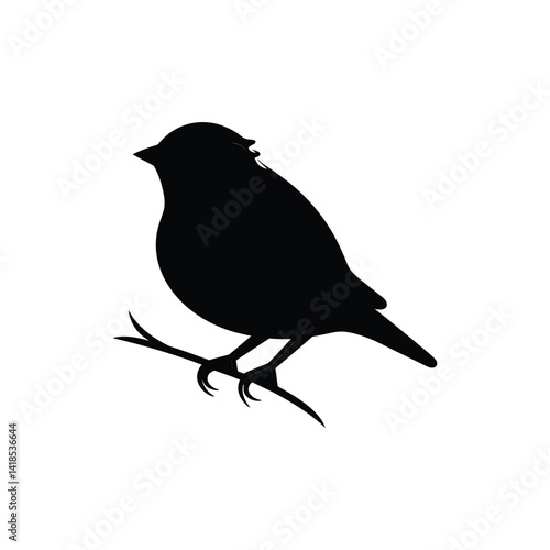 bird on a branch
