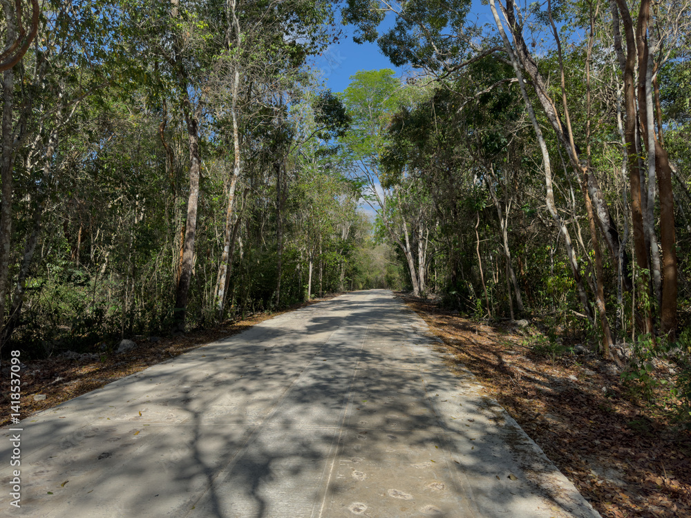 Camino en la Reserva de la Biosfera de Calakmul, Campeche, México