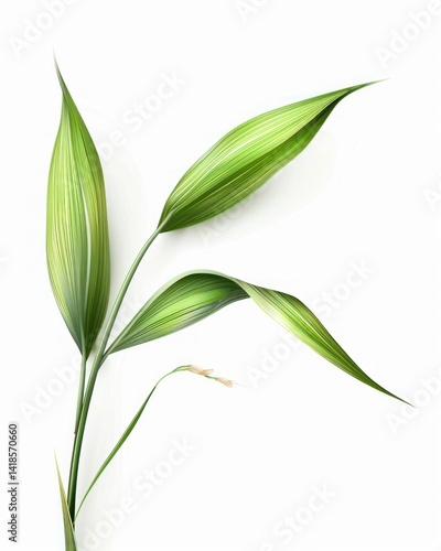 Wallpaper Mural Close-up of vibrant green striped plant leaves. Torontodigital.ca