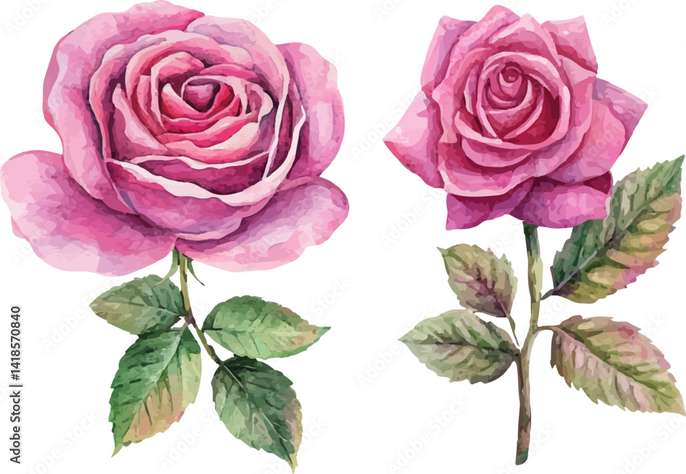 Fototapeta premium Watercolor Pink Rose Flower Art Clipart