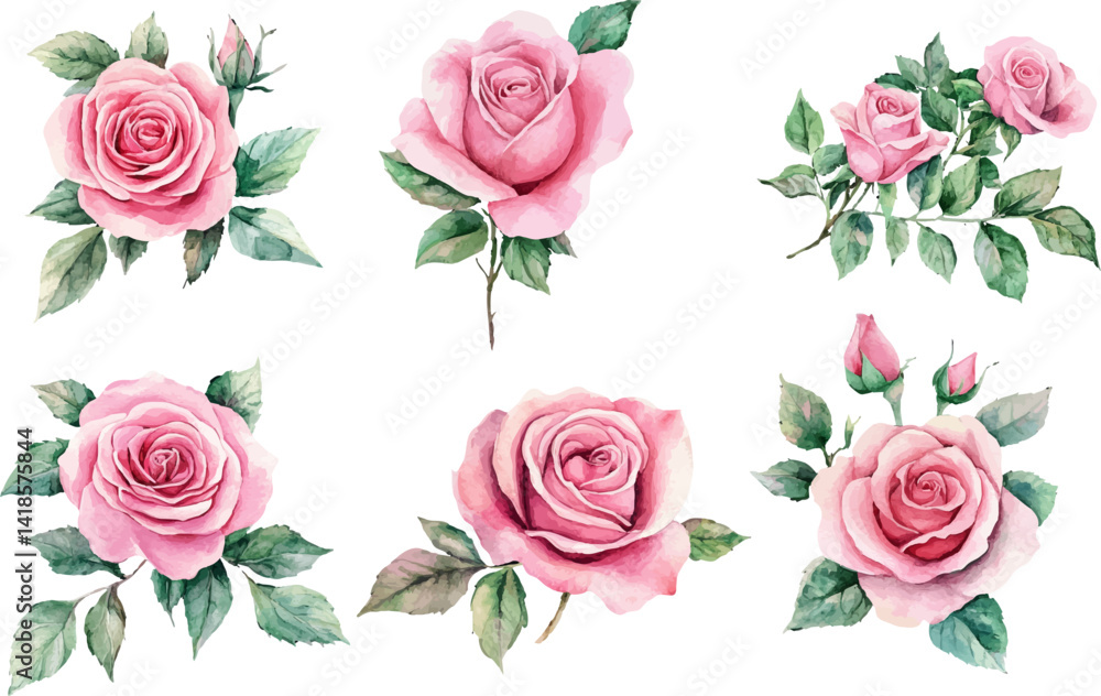 Naklejka premium Watercolor Pink Rose – Romantic Bloom Design