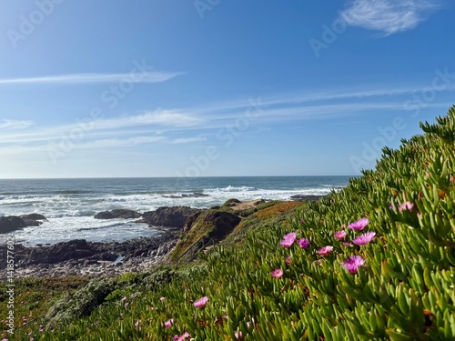 Bright green coastal vegetation with small pink flowers in the foreground, with blue ocean waves crashing behind them along the Northern California shoreline.