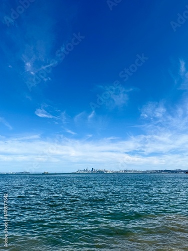 Sweeping view of the San Francisco skyline from the Marin Headlands under a clear sky.