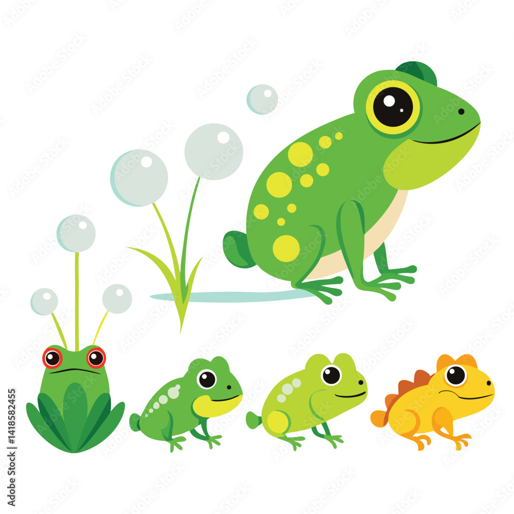 Obraz premium The metamorphosis of a frog is depicted in a sequence of stages, from tadpole to juvenile frog, against a white background.