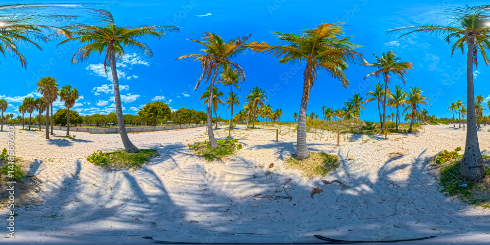 Tropical palms Crandon Park Miami Beach. 360 VR equirectangular photo