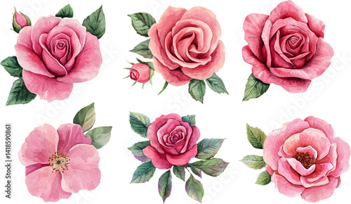 Watercolor Pink Rose Flower Art Clipart