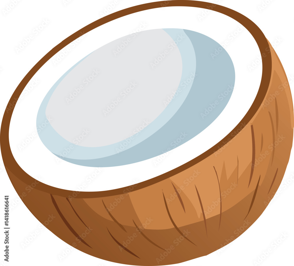 vector illustration of a coconut vector illustration of a coconut