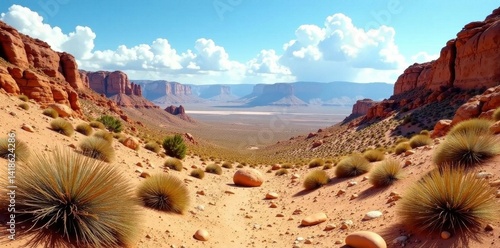 Dry, rocky terrain; sparse, scrubby vegetation, drought, stone
