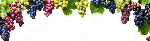 Wallpaper Mural Colorful Grapes and Leaves Torontodigital.ca