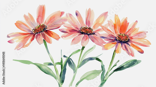 Elegant wedding invitation card background . Minimal hand painted watercolor Gerbera flowers texture template background. Design for wedding, vip cover, poster, rsvp moderncard.Valentine's Day