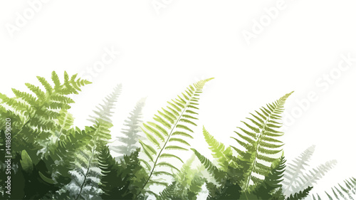 High-key image showcasing a cluster of ferns against a stark white background. The ferns exhibit a range of green hues, from deep emerald to light lime, with subtle variations in tone and texture