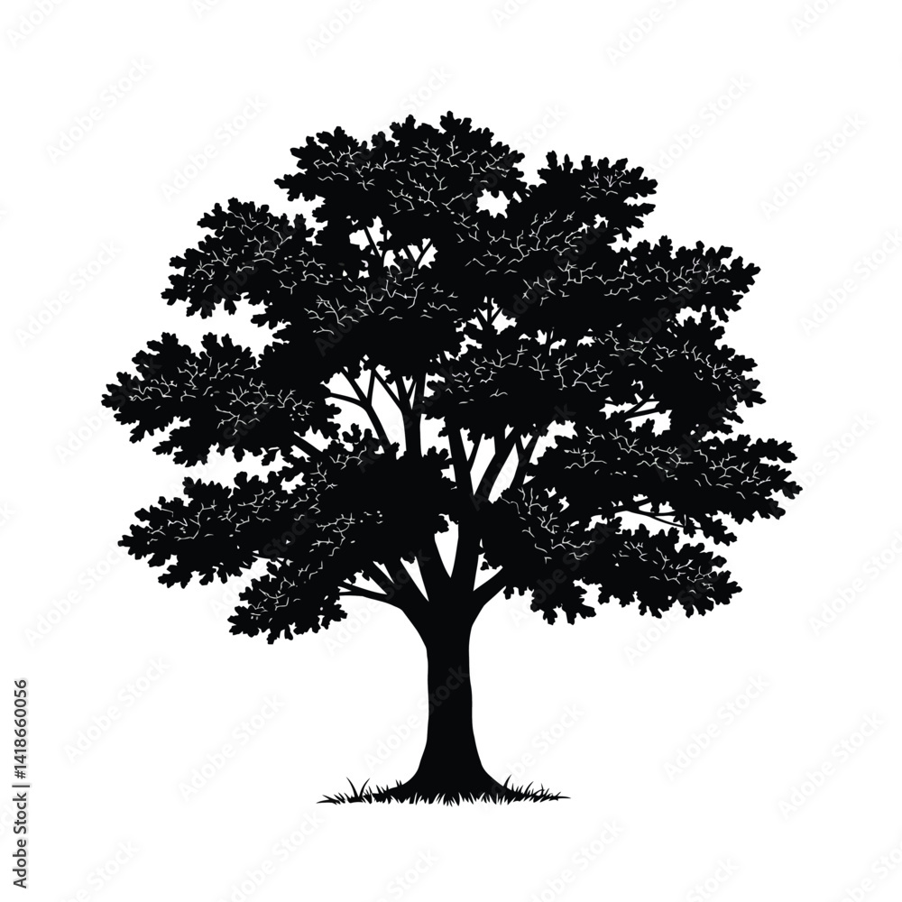 Fototapeta premium Oak tree silhouette. This image shows a detailed silhouette of an oak tree with dense foliage and a sturdy trunk, emphasizing its natural elegance. Vector clipart illustration design.