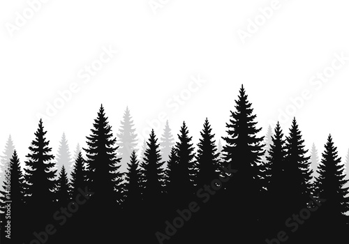 Pine tree forest silhouette. This image shows a dense forest of pine trees in silhouette form, creating a striking contrast between the dark trees. Vector clipart illustration design.