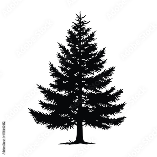 Jack pine silhouette. This image shows the silhouette of a jack pine tree with needle-like foliage and woody branches, symbolizing wilderness and nature. Vector clipart illustration design.