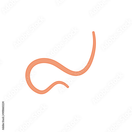 Ascaris parasitic worm vector