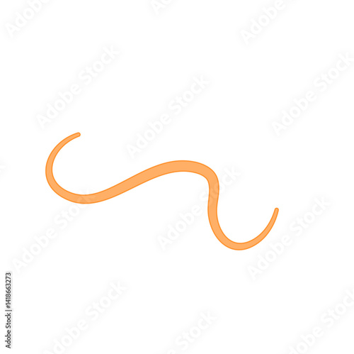Ascaris parasitic worm vector